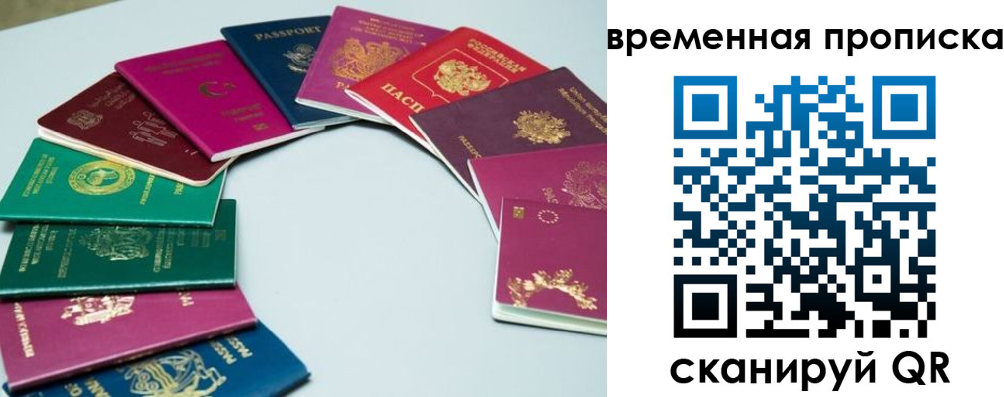 найти адрес прописки в Каргате