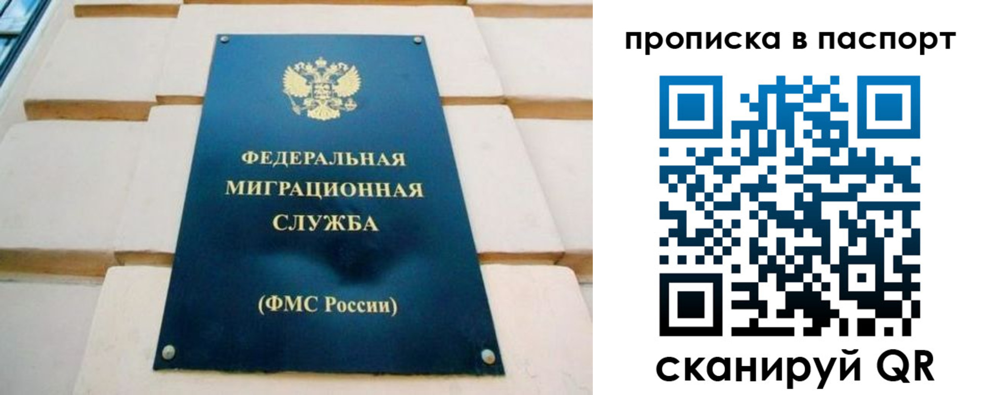 временная регистрация гарантия в Каргате